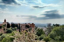 Alhambra Private Tour: Nasrid Palaces and Generalife