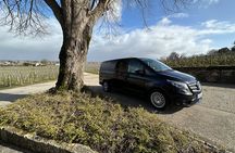 Small Group Tours and Tastings in the Médoc