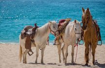 Horseback Riding Adventure to Macao Alto Beaches in Punta Cana