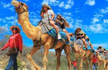 Wild Canyon Full Day Pass in Cabo