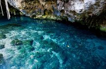 Explore Tulum and Dos Ojos Cenote with lunch and transportation