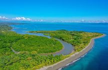 Mangrove Forest Kayak Exploration