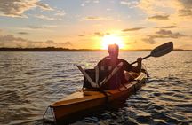 Bio-Luminescence and Sunset Kayak Tour