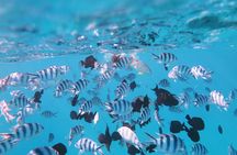 Tahiti Lagoon Vaimareva Private Boat cruise