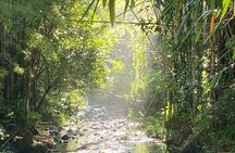 Artisan Puertorrican Winery and Distillery Tour