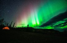 Arctic Day: Aurora Viewing Tour | late night