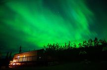 Arctic Day: Aurora Viewing Tour | late night