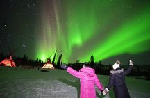 Arctic Day: Aurora Viewing Tour | late night