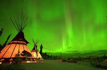 Arctic Day: Aurora Viewing Tour | late night