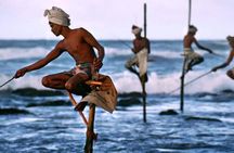 Private Full Day Galle City Tour