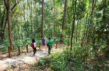 Doi Inthanon National Park Eco-Friendly Full Day Tour