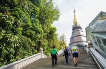 Chiang Mai: Doi Inthanon, Twin Pagodas & Waterfalls Tour