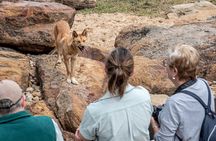 Sydney Taronga Zoo Wild Australia Experience