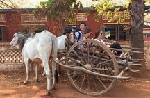 Savor the Countryside: Tours with Authentic Cooking Classes"