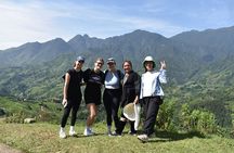 1-Day Private Trekking in Sapa through Terraces Rice Fields
