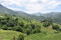 1-Day Private Trekking in Sapa through Terraces Rice Fields