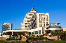 Full Day Punta del Este 