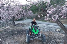 ATV Guided Tour to The Waterfalls Fuentes del Algar