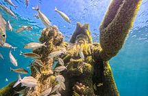 SunCay Sunken Sculpture Snorkel & Iguana Encounter with Lunch