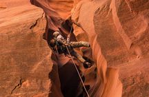 Capitol Reef National Park Canyoneering Adventure