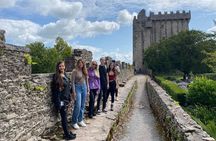 Easy Access Blarney Stone and Castle Gardens Tour 