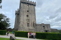 Easy Access Blarney Stone and Castle Gardens Tour 