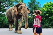 Private Tour to Udawalawe National Park