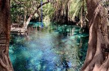Travel to the hot springs like a local