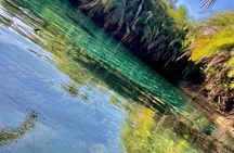 Travel to the hot springs like a local