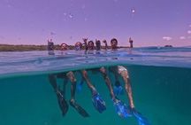 Under a sea of adventures, unforgettable diving. 