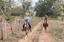 Adventure Between Two Rivers - Horseback Riding and Tubing