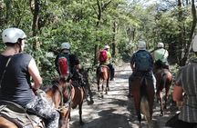 Adventure Between Two Rivers - Horseback Riding and Tubing