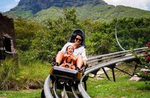 Wild South West Tour : SAFARI & TULAWAKA CASELA PARK & LE MORNE