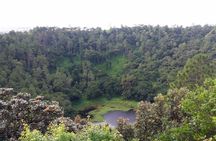 Full Day Private Tour in South of Mauritius