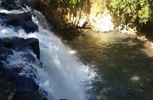 Full Day Private Tour in South of Mauritius