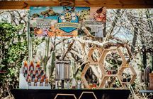 Aruba´s Bee Haven Private Adventure