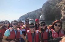 Lima: Ballestas Islands Tour, Huacachina & Ceviche Cooking Class