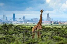 Nairobi National Park and Giraffe Centre 