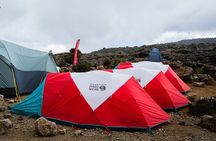  8 Day Kilimanjaro Trek via Lemosho Route