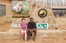  2 Days 1 Night Wildlife Safari at Mole Park (Round trip flights)