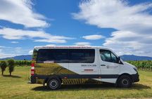 Discover Marlborough Wine - Afternoon Marlborough Wine Tour 