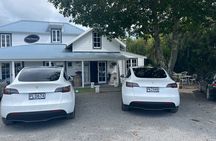 Martinborough Private Food and Wine Tour in Tesla SUV
