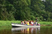 Half-Day / Canoe and Hike in to Tortuguero National Park 