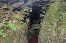 Blarney Castle, Cork City and Cohb Small groups
