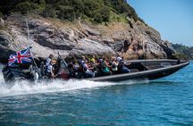 30-Minute Raptor RIB Ride Activity in Torquay