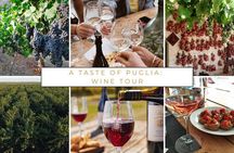 Wine tasting experience in the Apulian countryside 