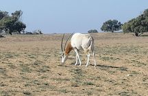 Tour to National Park in the South of Agadir 