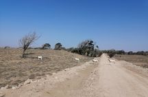 Tour to National Park in the South of Agadir 
