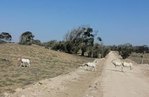 Tour to National Park in the South of Agadir 