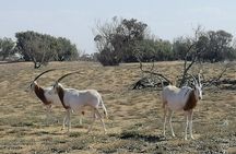 Tour to National Park in the South of Agadir 